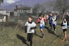 Andrea Guffanti_mod
