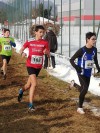 La grinta di Pippo Curti