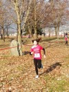 Alice preve in azione