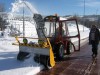 neve