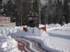 neve