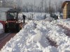 neve